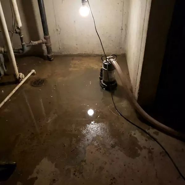 Basement Flood Clean Up in Miramar, FL