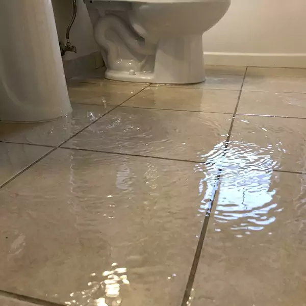 Expert Flooded Bathroom Restoration in Miramar, FL 