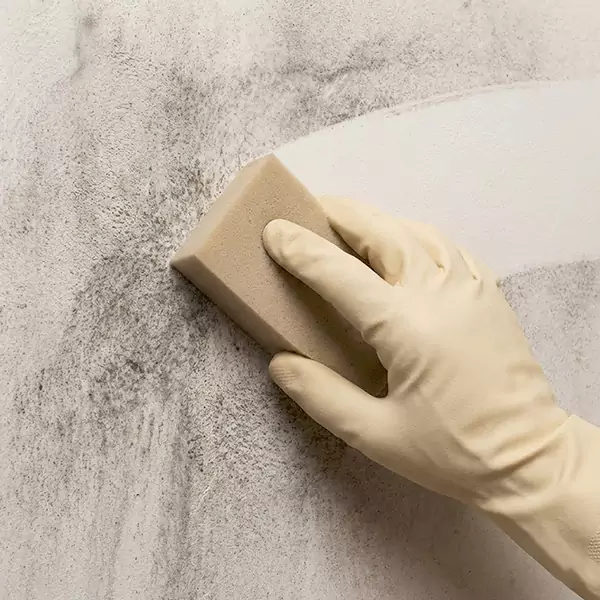 Smoke Cleaning in Miramar, FL 