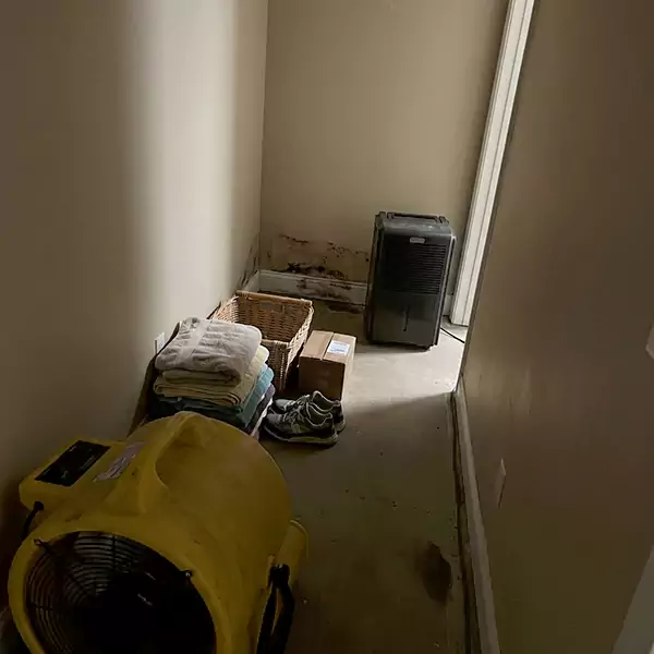 Expert Water Remediation in Miramar, FL 