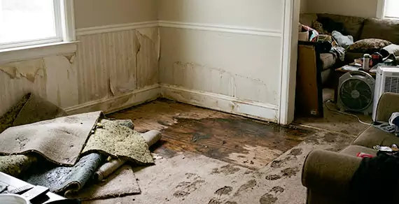 Why Choose Us For Water Damage Restoration Services in Miramar?