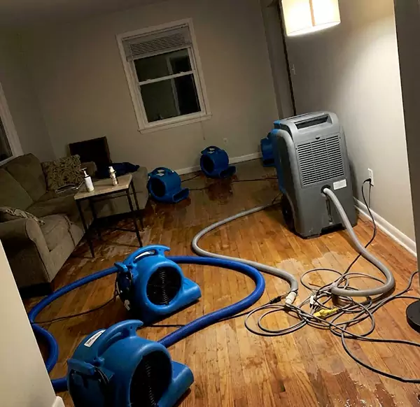 Why Homeowners & Businesses Choose Miramar Water Damage Restoration for Emergency Water Restoration in Miramar, FL?