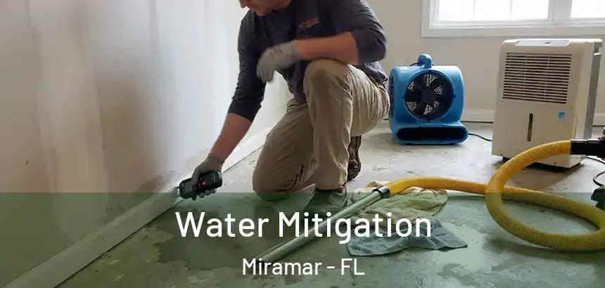  Water Mitigation Miramar - FL